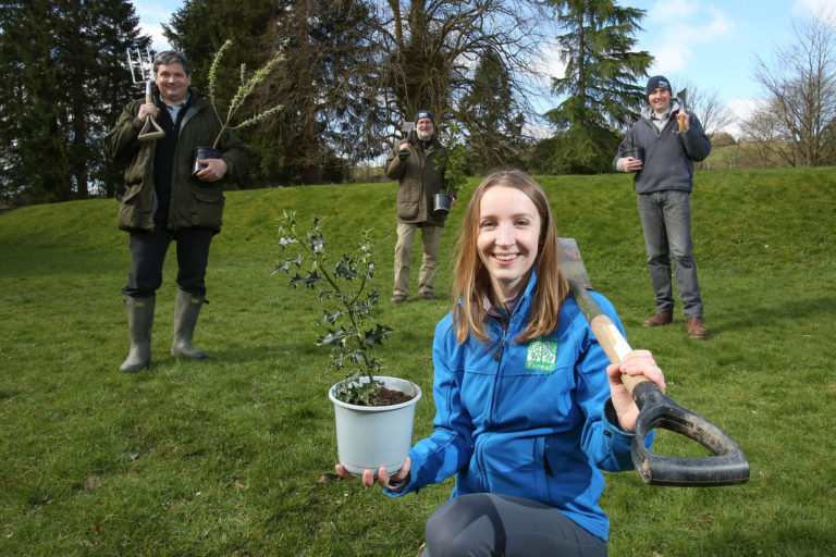 South of Scotland tree planting initiative